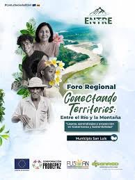 Categoria
